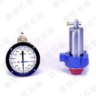 �R������ʽ���������� �����M��